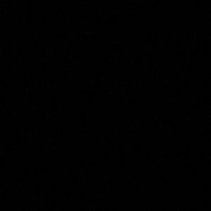 Meet your Posher, Daisy